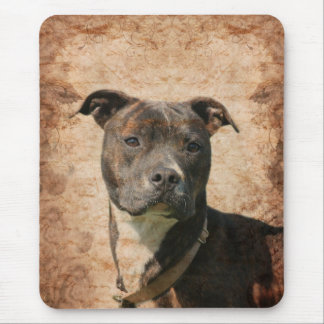 Pit Bull Terrier Mouse Mat