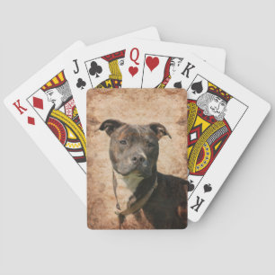 Pit Bull Terrier Playing Cards