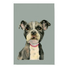 Pit Bull Terrier Puppy Dog Watercolor Art
