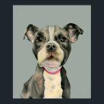 Pit Bull Terrier Puppy Dog Watercolor Art Poster<br><div class="desc">This is a realistic watercolor painting of a cute black and white pitbull puppy. It is a close up of the dog with large hopeful looking eyes. For dog lovers.</div>