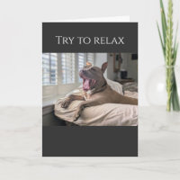 Pit Bull try to relax get well