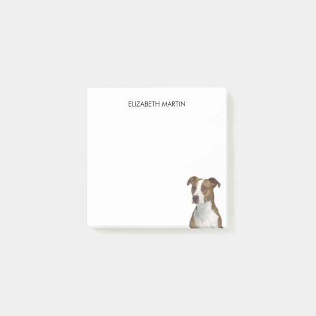 Pit Bull Type Dog Post-it Notes (Front)