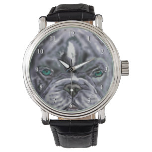 Pit bull Watch
