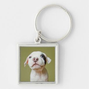 Pit Bull With Black Spotted Eye Key Ring
