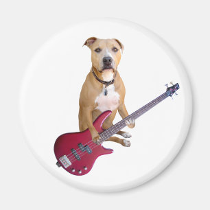 Pit Bull with Guitar Magnet