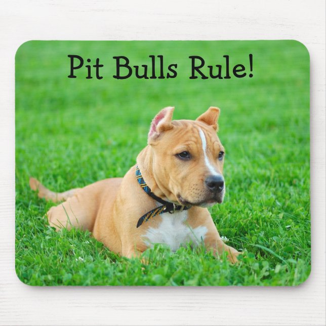 Pit Bulls Rule Mousepad (Front)