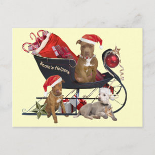 Pitbill Terrier Santa's Helpers Holiday Postcard