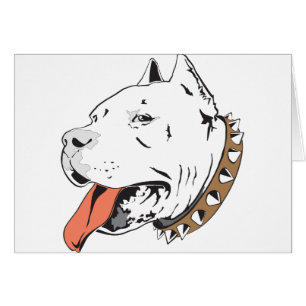 Pitbull