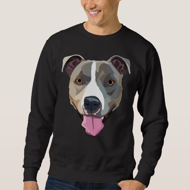 Pitbull 210 sweatshirt (Front)