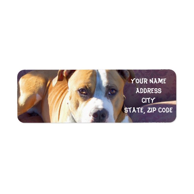 Pitbull address labels (Front)