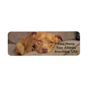 Pitbull Address Labels