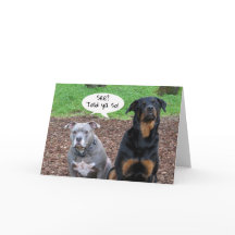 Pitbull and Rottweiler Graduation Told Ya Card