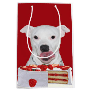 Pitbull birthday medium gift bag