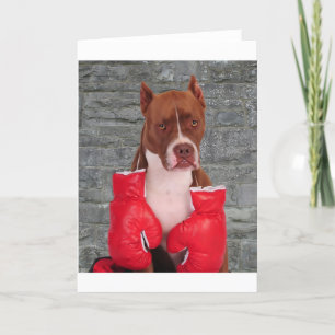 Pitbull Boxer Card