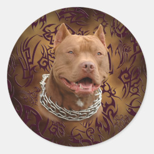 Pitbull brown tribal tattoo classic round sticker