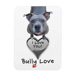 Pitbull Bully Love Magnet