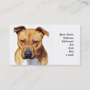 Pitbull business cards