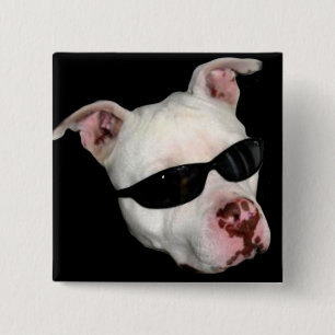 Pitbull button