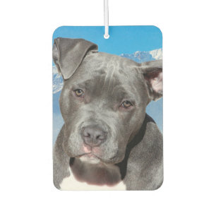 Pitbull Car Air Freshener