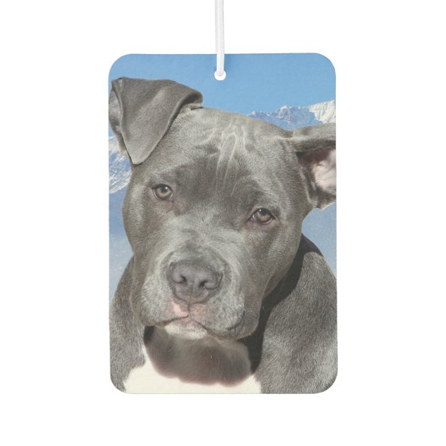 Pitbull Car Air Freshener (Front)