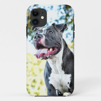 Pitbull iPhone 11 Case
