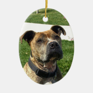 Pitbull Ceramic Tree Decoration