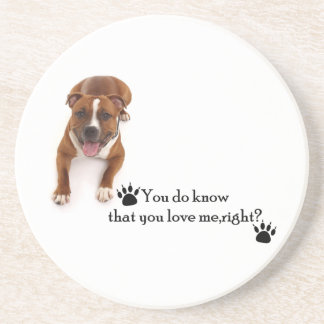 Pitbull Coaster