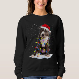 Pitbull Dog 2 Sweatshirt
