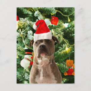 Pitbull Dog Christmas Tree Ornaments Snowman Holiday Postcard