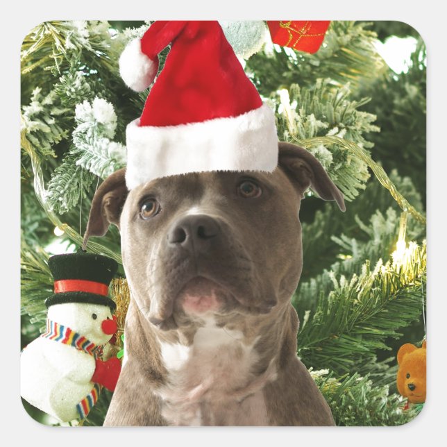 Pitbull Dog Christmas Tree Ornaments Snowman Square Sticker (Front)