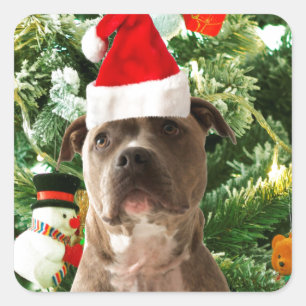 Pitbull Dog Christmas Tree Ornaments Snowman Square Sticker