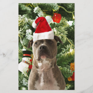 Pitbull Dog Christmas Tree Ornaments Snowman Stationery
