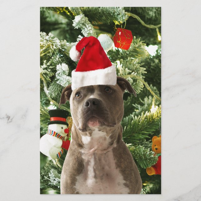 Pitbull Dog Christmas Tree Ornaments Snowman Stationery (Front)