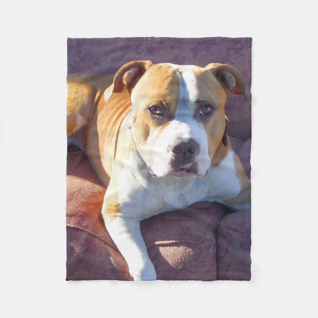 Pitbull dog fleece blanket (Front)