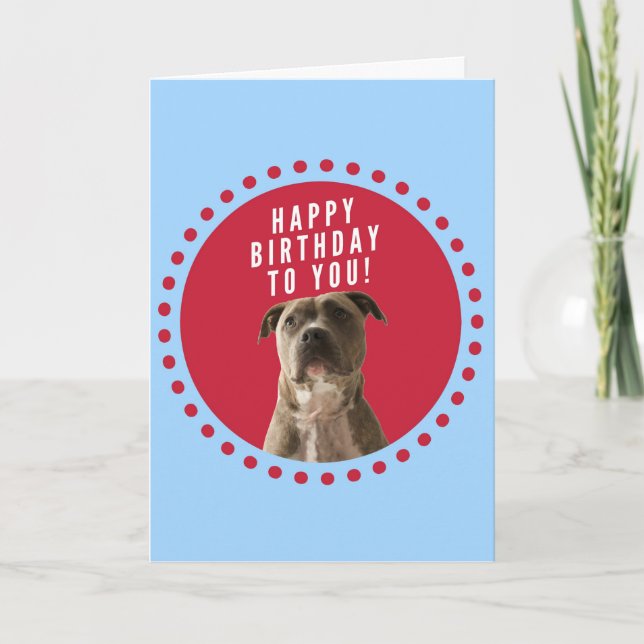 Pitbull Dog Happy Birthday Blue Greeting Card (Front)