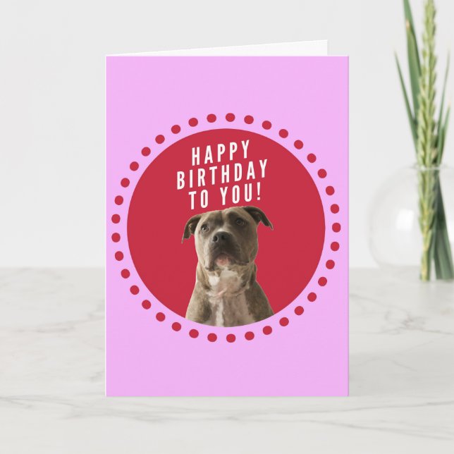 Pitbull Dog Happy Birthday Pink Dots Greeting Card (Front)