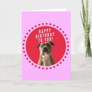 Pitbull Dog Happy Birthday Pink Dots Greeting Card