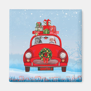 Pitbull Dog In Car With Santa Claus Magnet
