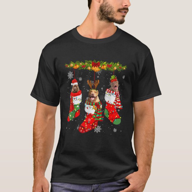 Pitbull Dog In Socks Christmas Lights Sweater Xmas (Front)