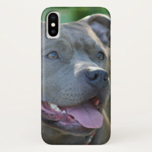 Pitbull dog iphone x case