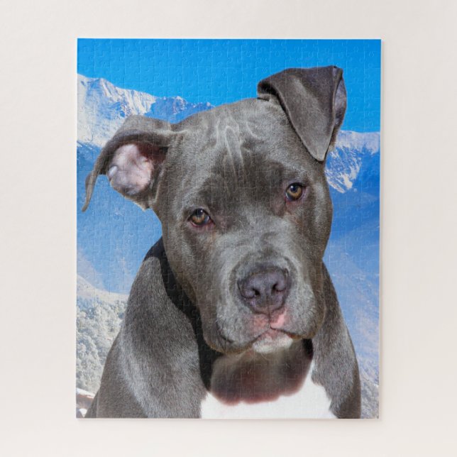Pitbull Dog. Jigsaw Puzzle (Vertical)