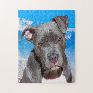Pitbull Dog. Jigsaw Puzzle