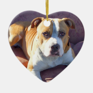 Pitbull dog ornament