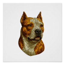 Pitbull Dog Portrait