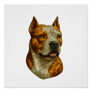 Pitbull Dog Portrait Poster