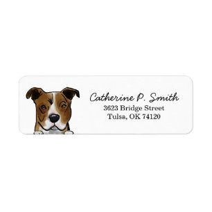 Pitbull Dog Return Address