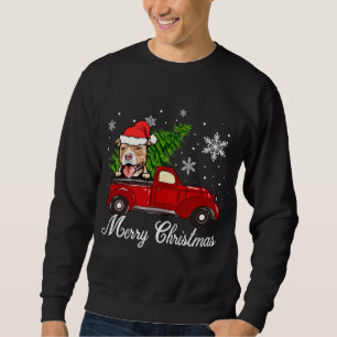Pitbull Dog Riding Red Truck Christmas Decorations Sweatshirt