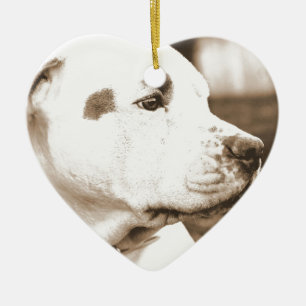 pitbull dog sepia colour hate deed not breed ceramic tree decoration