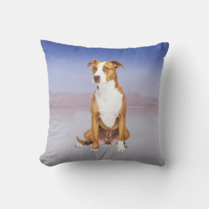 Pitbull Dog Sitting On Beach Cushion