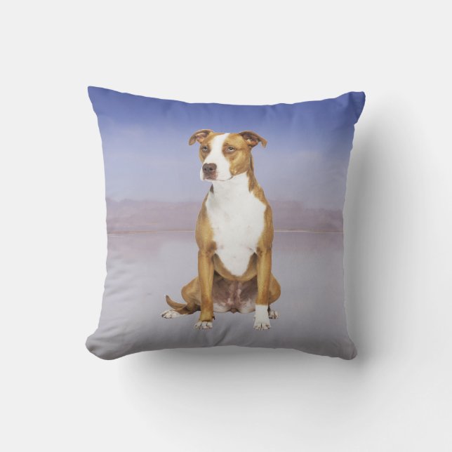 Pitbull Dog Sitting On Beach Cushion (Front)